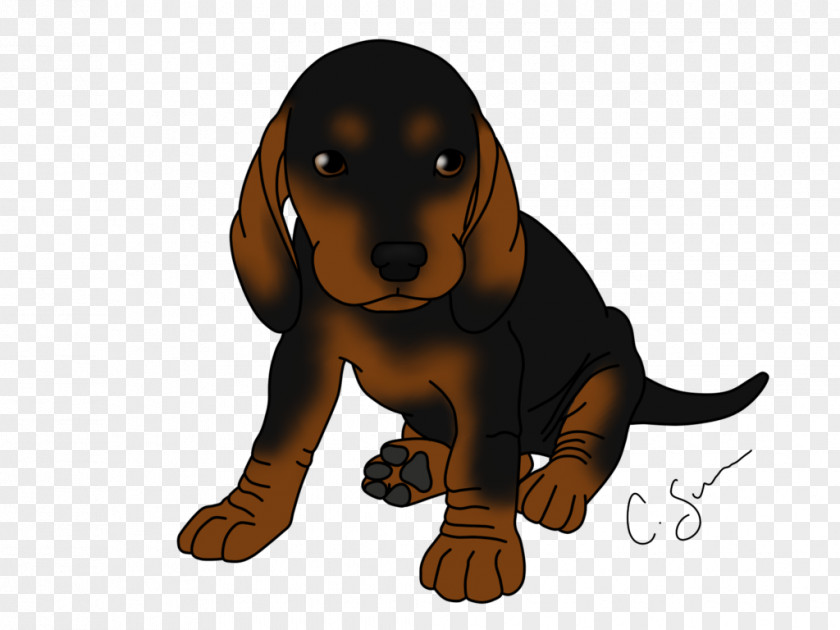 Puppy Dog Breed Black And Tan Coonhound Dachshund Bluetick PNG