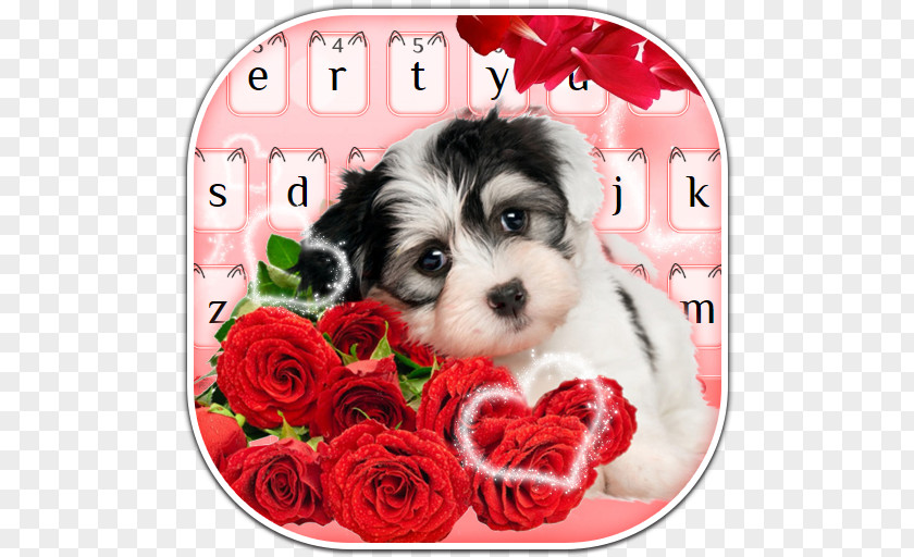 Puppy Greeting & Note Cards Dog Birthday Wish PNG