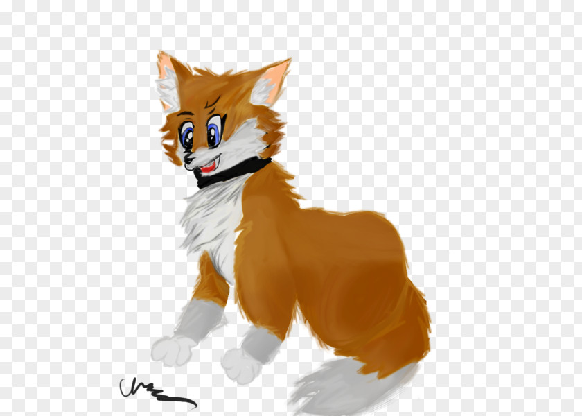 Realism Cat Red Fox Whiskers Mammal PNG