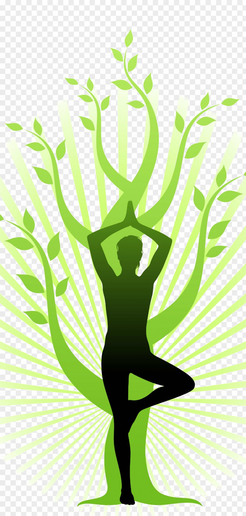 Yoga Ashtanga Vinyasa Vriksasana Exercise Yogi PNG