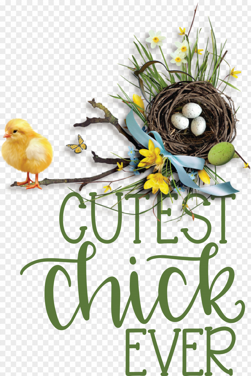 Birds Bird Nest Font Flower Tree PNG