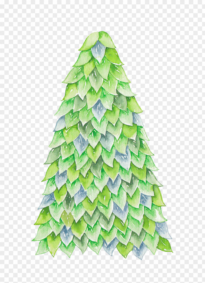 Christmas Tree Watercolor Painting Illustration PNG