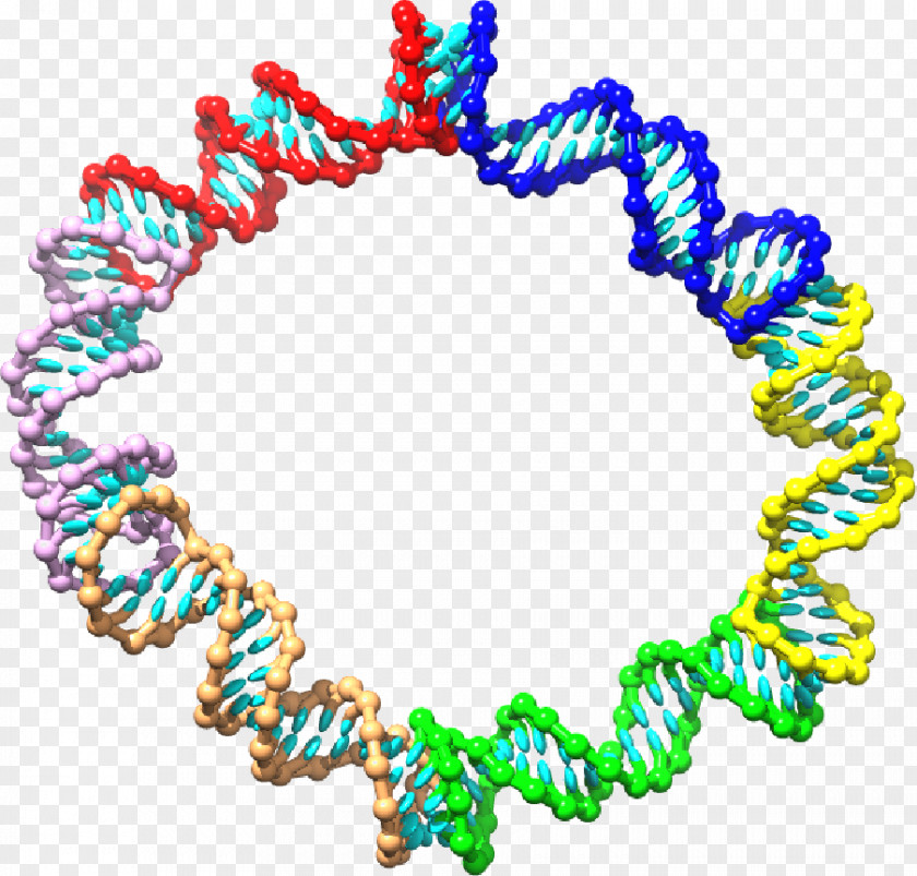 Kissing Stem-loop Nucleotide RNA Pseudoknot PNG