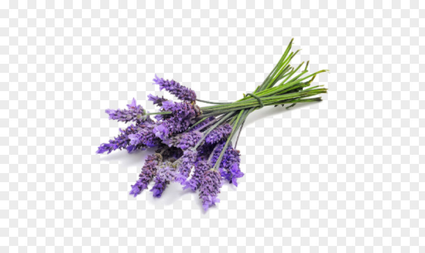 Lavender English DoTerra Essential Oil PNG