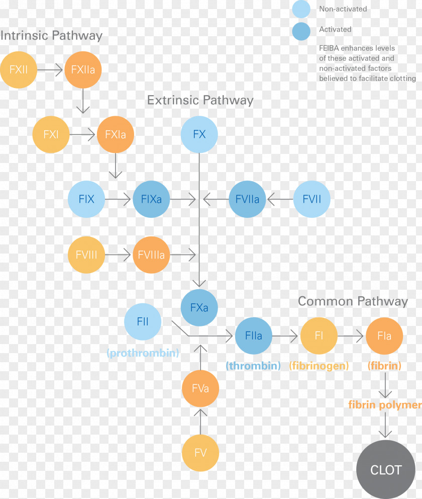 Medical Emergency Coagulation Haemophilia A Factor VIII Thrombin PNG