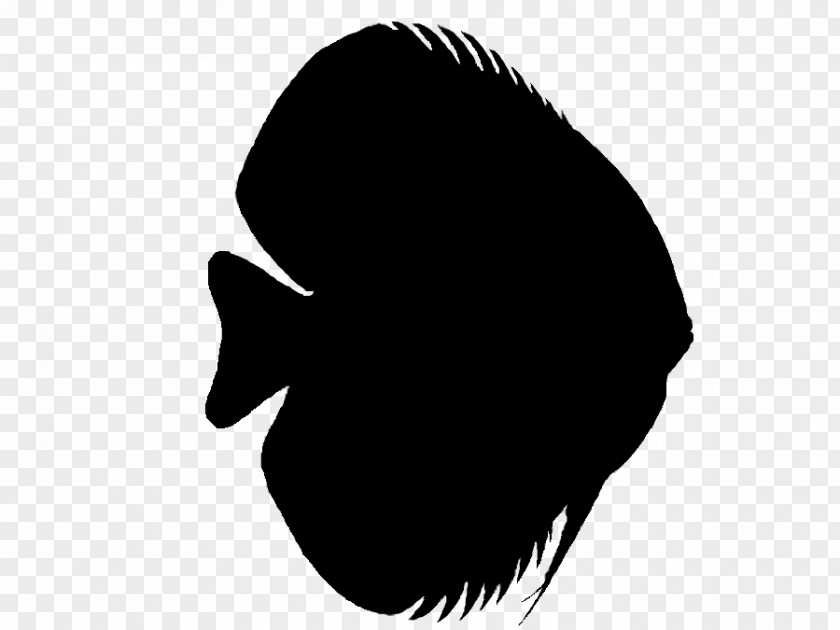 Nose Clip Art Silhouette Line Jaw PNG