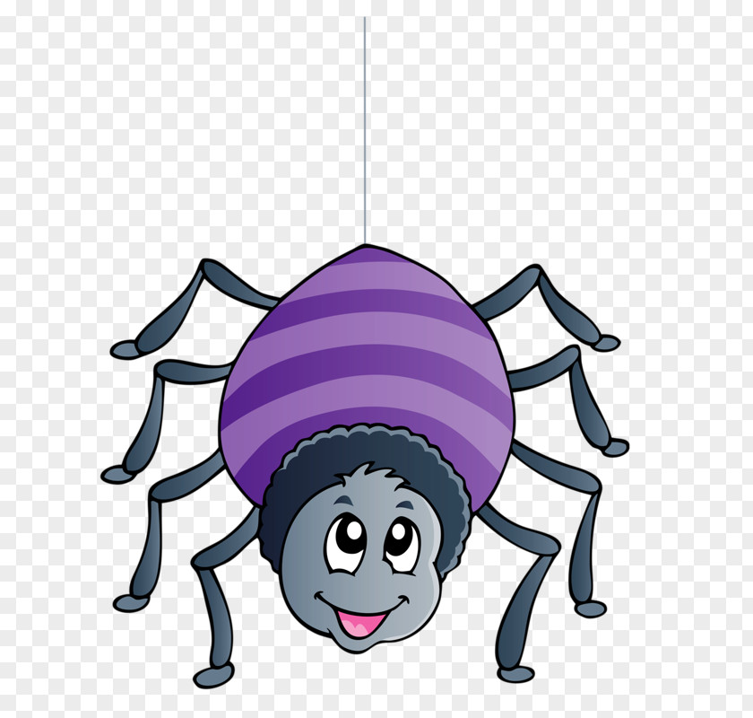 Spider Insect Clip Art PNG