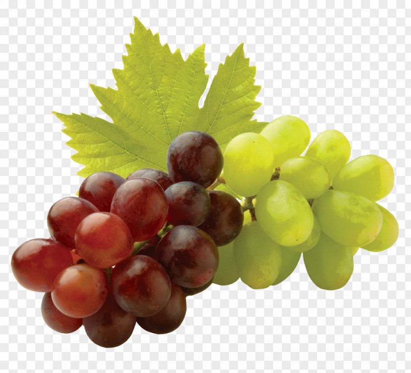 Common Grape Vine Electronic Hookah Juice Sultana PNG hookah Sultana, juice clipart PNG