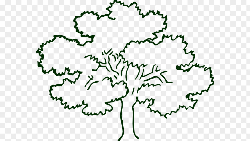 Dogwood Tree Drawing Oak Outline Clip Art PNG