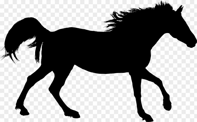 Silhouette American Quarter Horse Equestrian Clip Art PNG