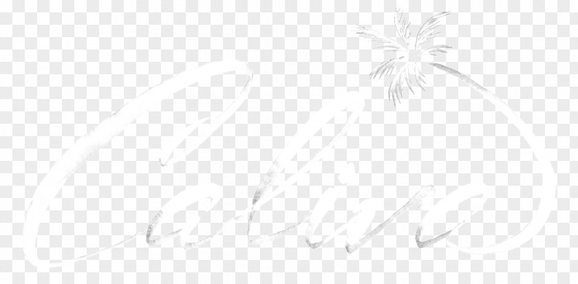 White Brush Strokes Line Art Drawing Desktop Wallpaper PNG