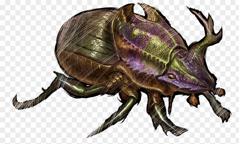 Ark Shell ARK: Survival Evolved Dung Beetle Feces Xbox One PNG