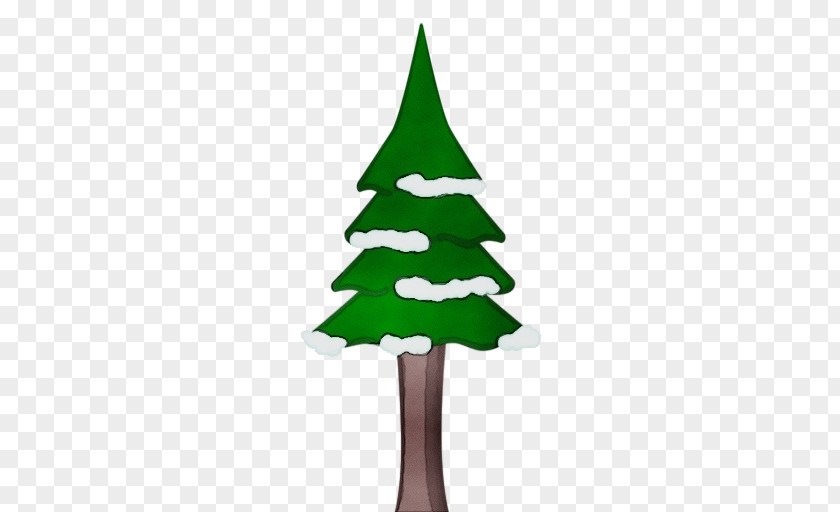 Evergreen White Pine Watercolor Christmas Tree PNG