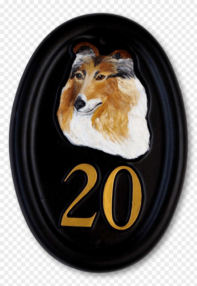 House Rough Collie Border Dog Houses PNG