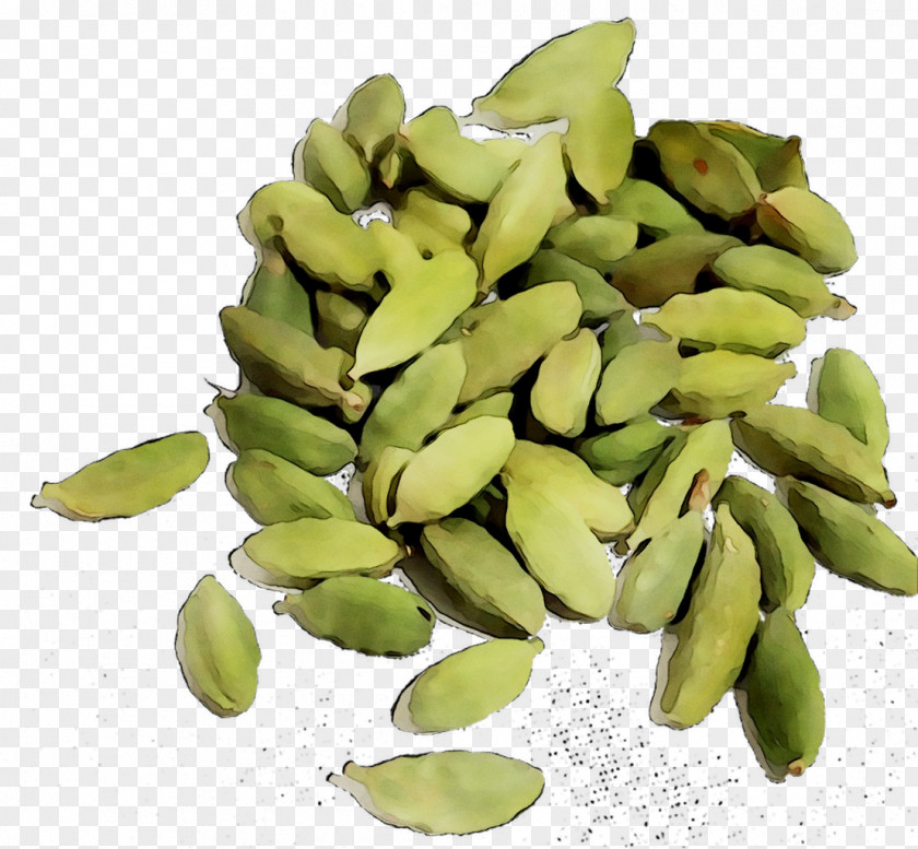 Lima Bean Commodity PNG