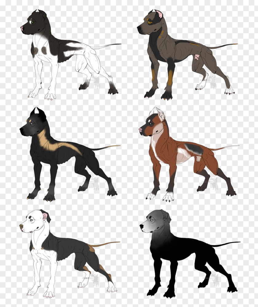 Pit Bull Dog Breed American Terrier Italian Greyhound Bulldog PNG