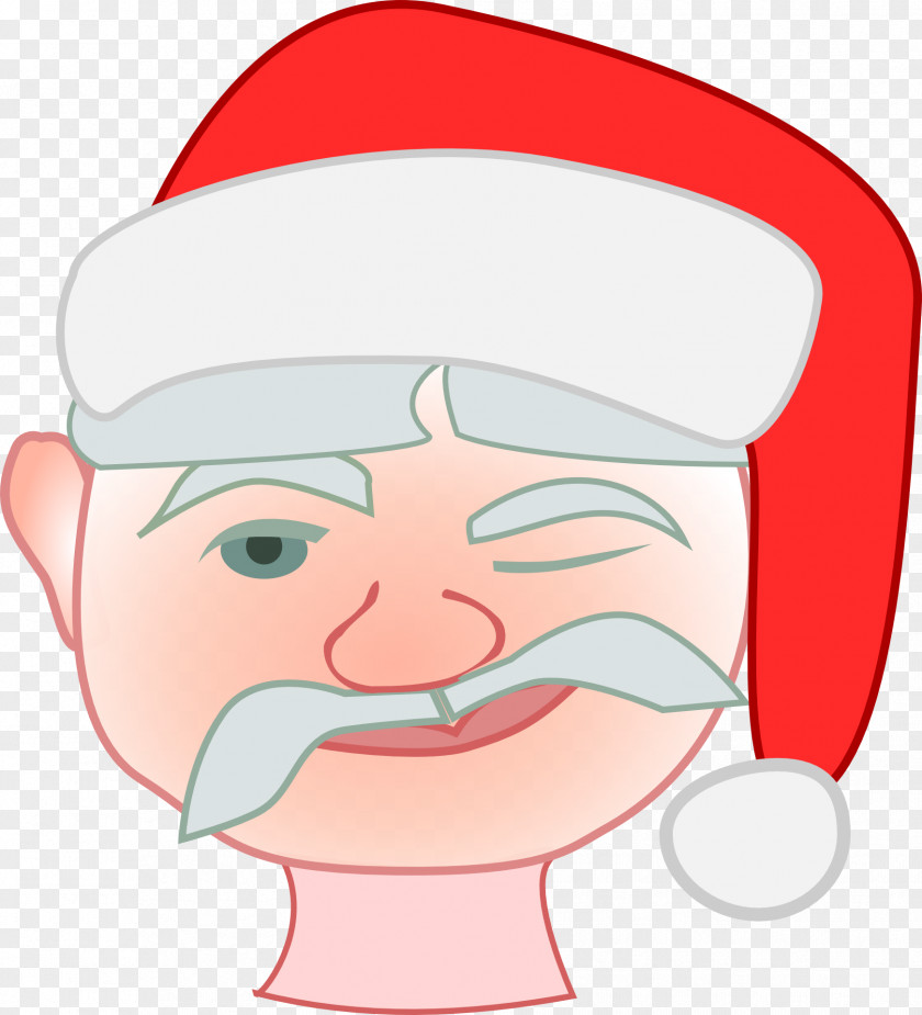 Walrus Santa Claus Christmas Clip Art PNG