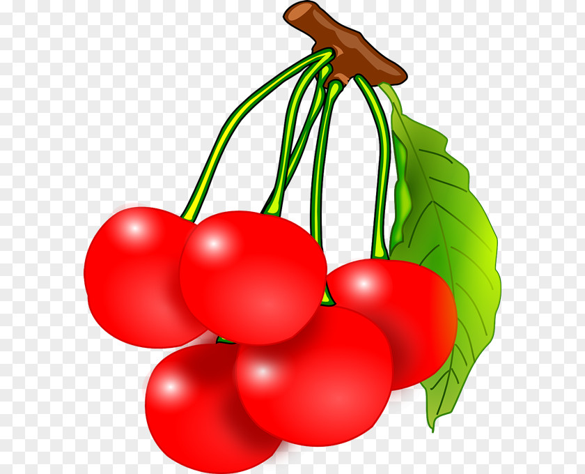 Bunch Cliparts Fruit Cherry Free Content Clip Art PNG