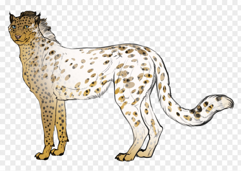 Cheetah Snow Leopard Whiskers Cat PNG