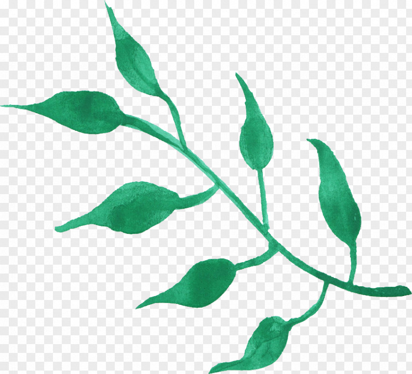 Leaves Watercolor Leaf Painting Clip Art PNG
