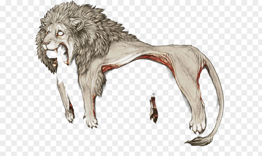 Lion White Gray Wolf Fur Jaguar PNG