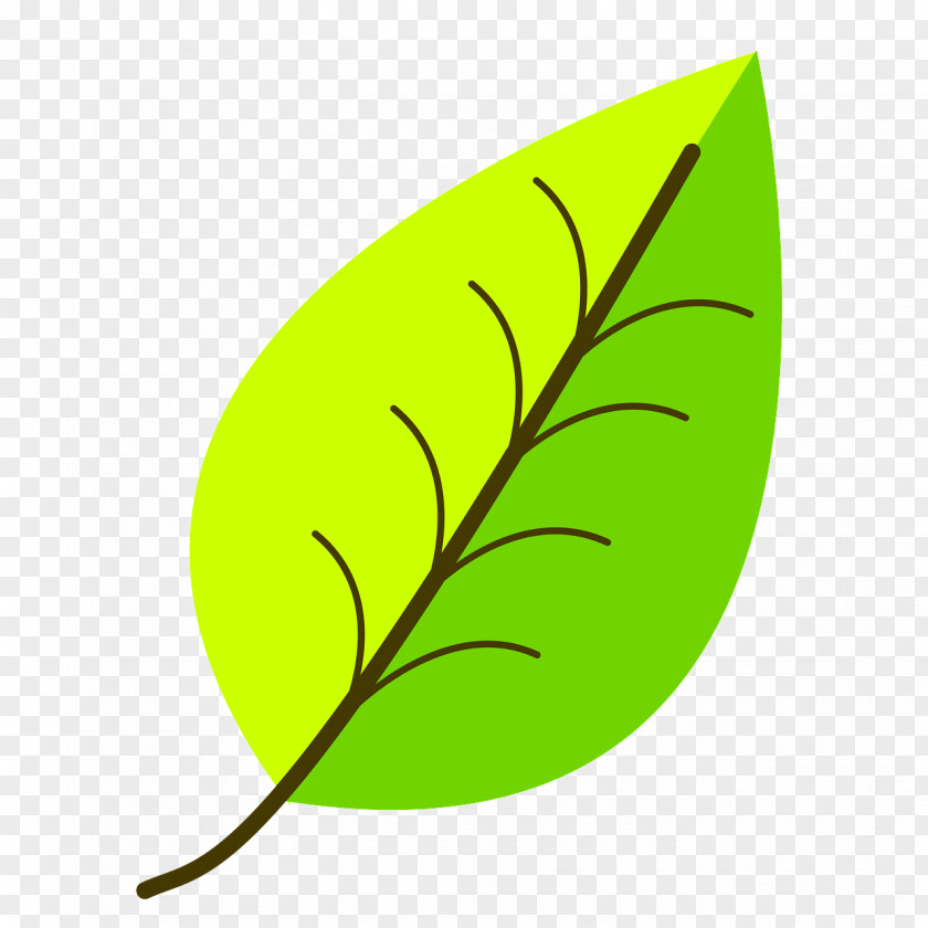 Logo Tree Leaf Green Clip Art Yellow Plant PNG