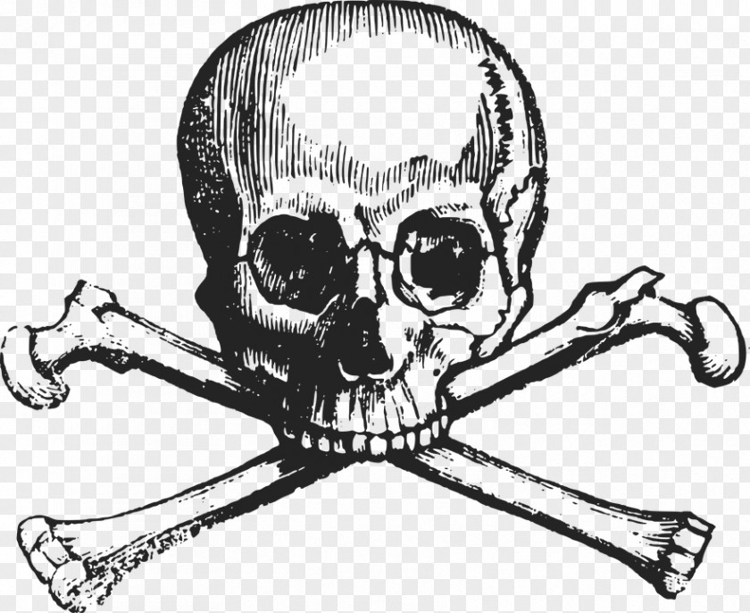 Skull And Crossbones Bones Drawing PNG