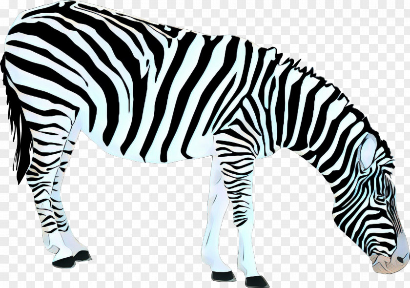 Snout Blackandwhite Zebra Terrestrial Animal Wildlife Figure Black-and-white PNG