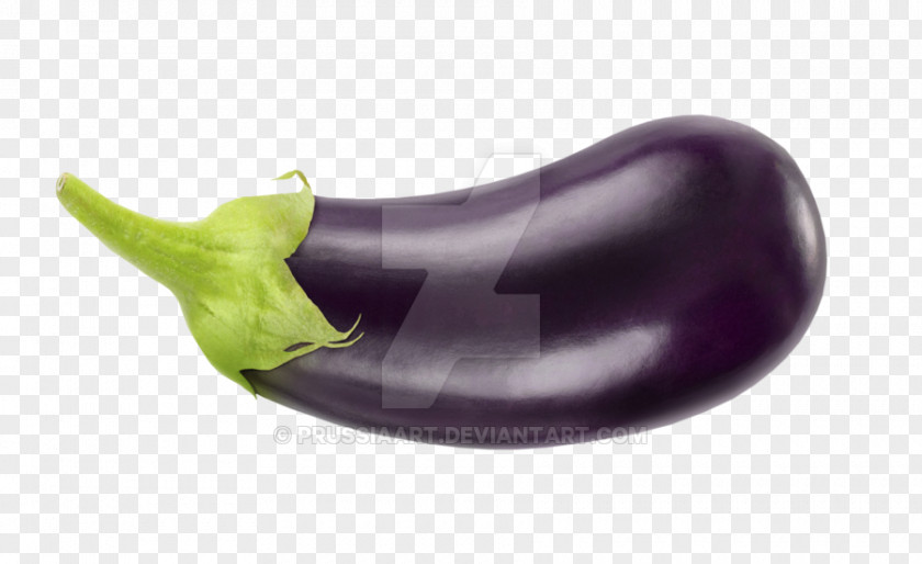 Vegetable Parmigiana Eggplant Fruit PNG