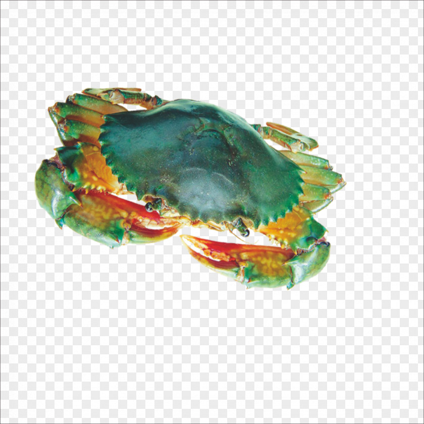 Crab Yangcheng Lake Seafood Hot Pot Hoo Hey How PNG