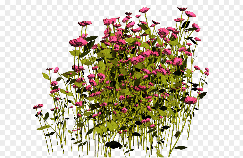 Flower Floral Design Image Clip Art PNG