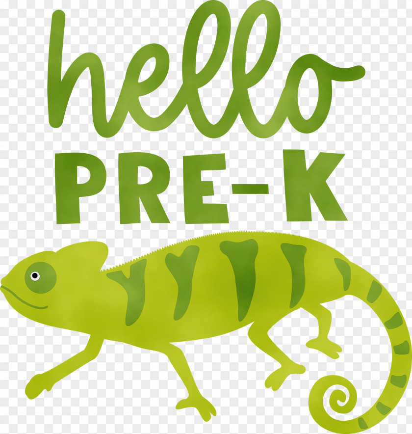 Frogs Lizards Text Line Mathematics PNG