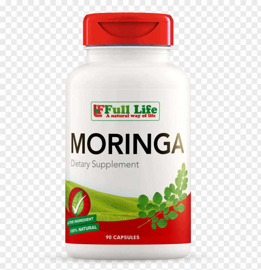 Moringa Leaves Dietary Supplement Vitamin Rheumatism Pharmacy PNG