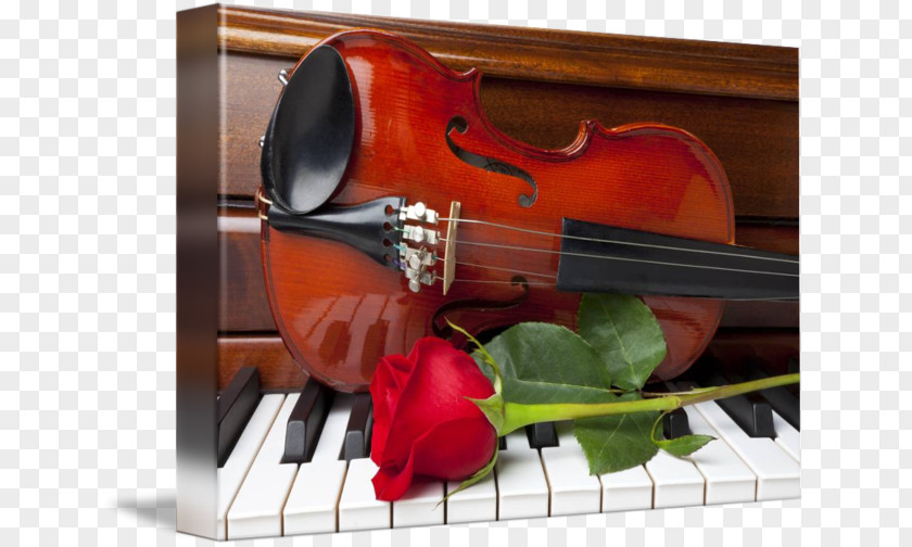 Violin Musical Instruments Painting PNG
