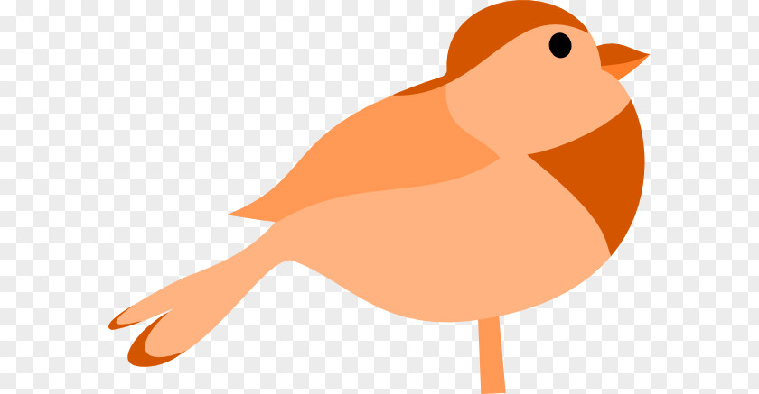 Cute Bird Clipart Clip Art PNG