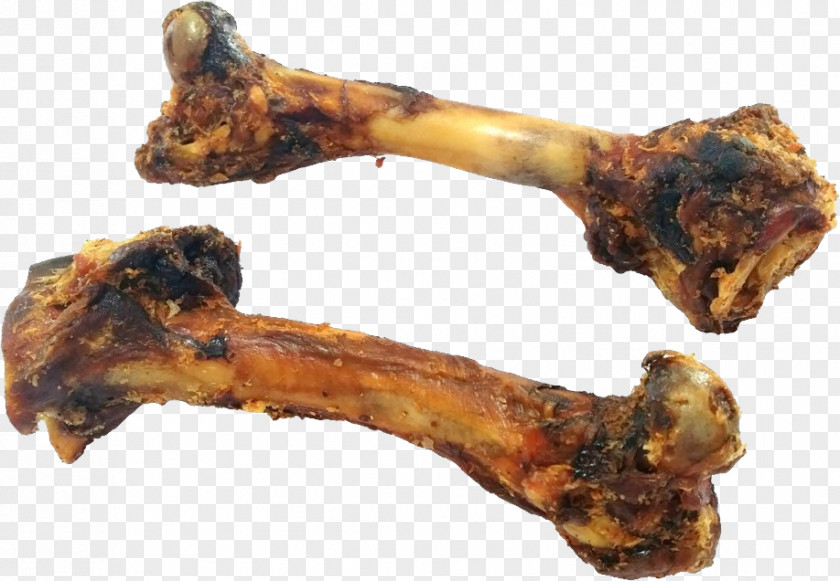 Dog Kohepets Bone Food PNG