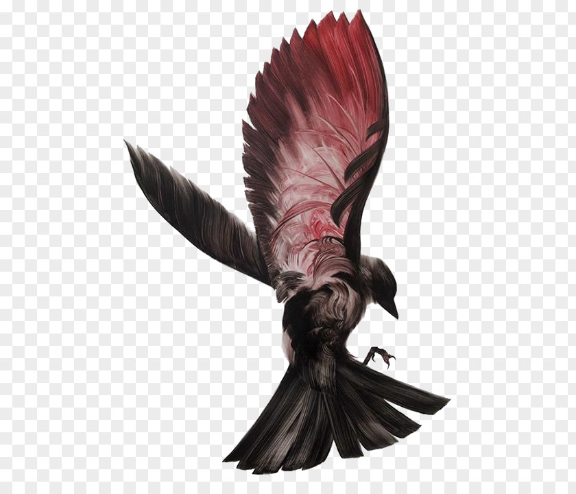 Eagle The Dream Thieves Blue Lily, Lily Raven King Bird PNG