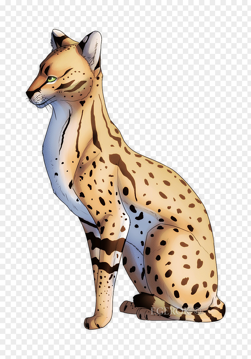 King Of The Hill Whiskers Cheetah Cat Terrestrial Animal PNG