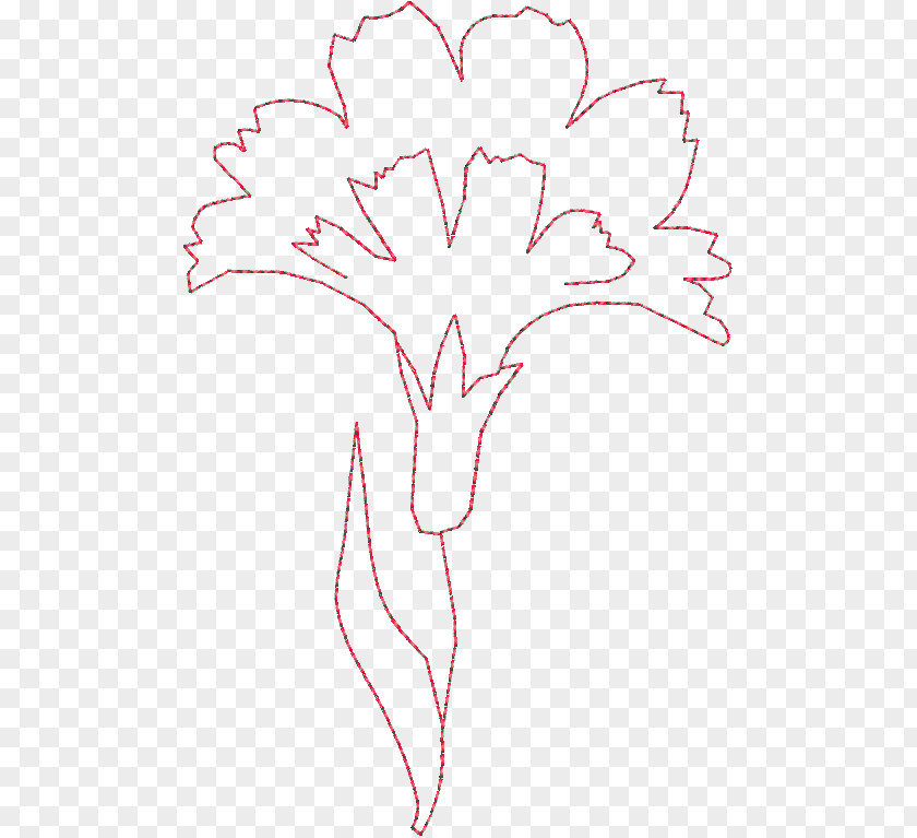 Pink Carnation Drawing Floral Design The PNG
