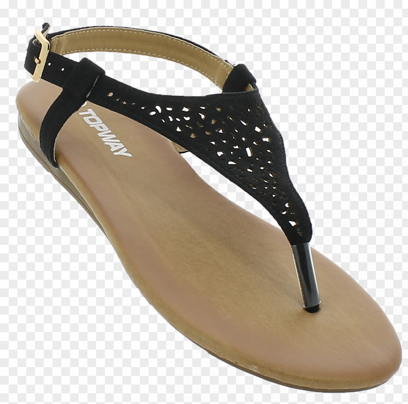 Sandal Shoe PNG