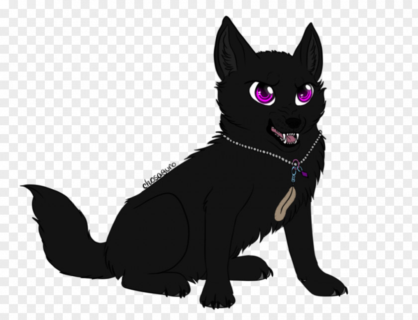 Cat Black Whiskers Domestic Short-haired Dog PNG