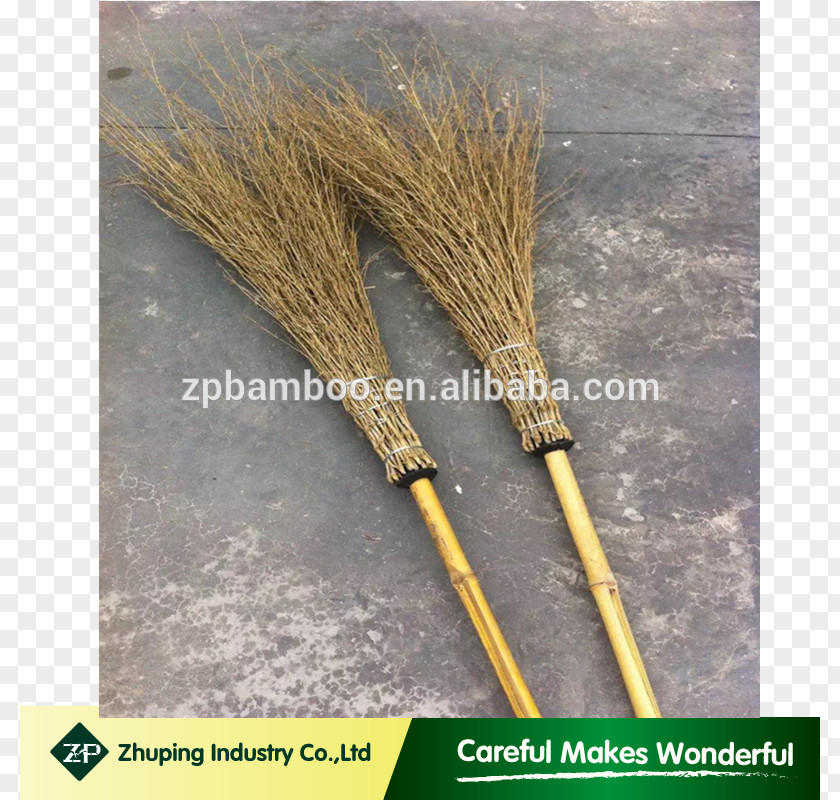 Chinese Bamboo Broom Grasses PNG