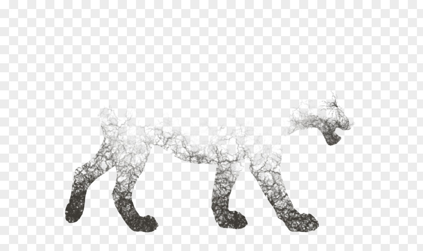 Cobweb Lion YouTube Cat Dog Canidae PNG