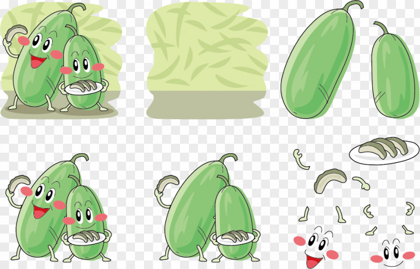Eat Melon Expression Vector Wax Gourd Vegetable Illustration PNG