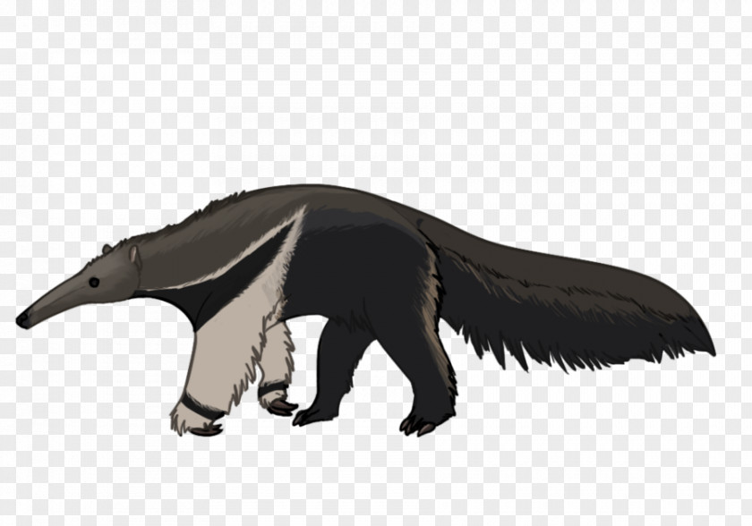 Giant Anteater Drawing Cartoon Sloth PNG