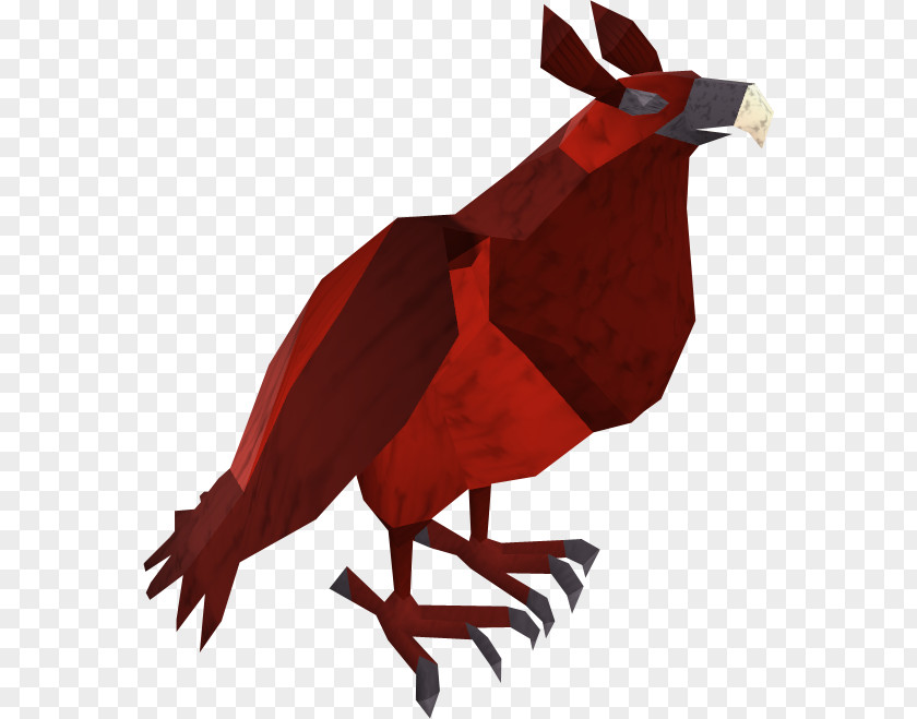 Hawk Old School RuneScape Labrador Retriever Bird Penguin PNG