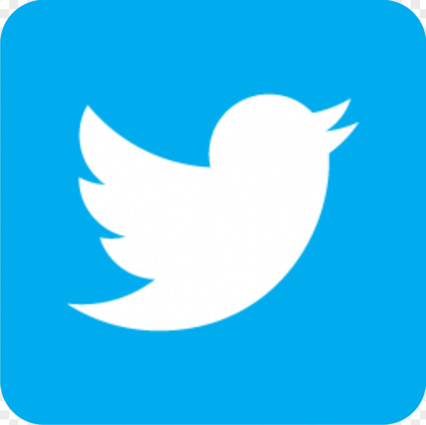 Twitter Bird Logo Social Media PNG