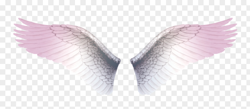 Anges De Sucre Clip Art PNG