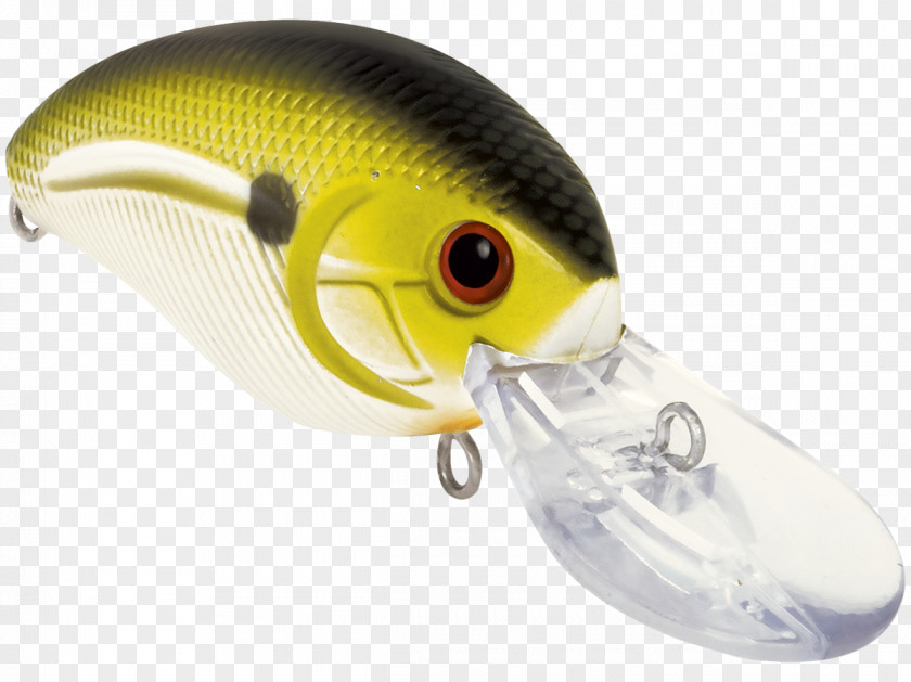 Fishing Plug Baits & Lures Spin Tackle PNG