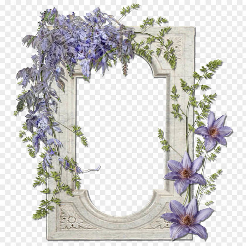 Flower Picture Frames Floral Design Cut Flowers PNG